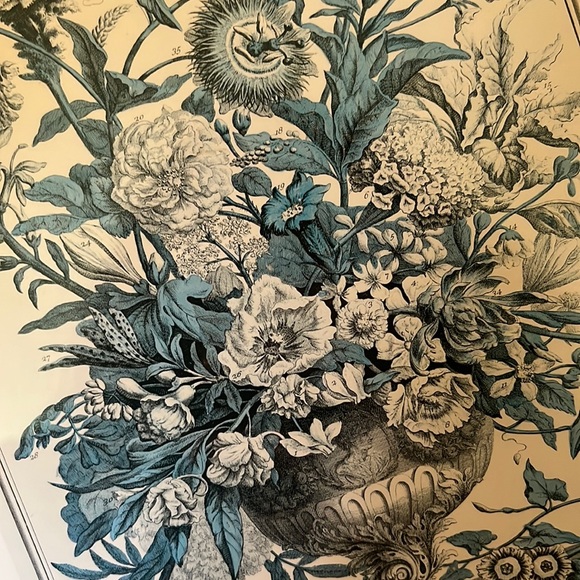 Vtg SEPTEMBER from Twelve Months of Flowers by Robert Furber (C.1674-1756)CANADA - Picture 6 of 15